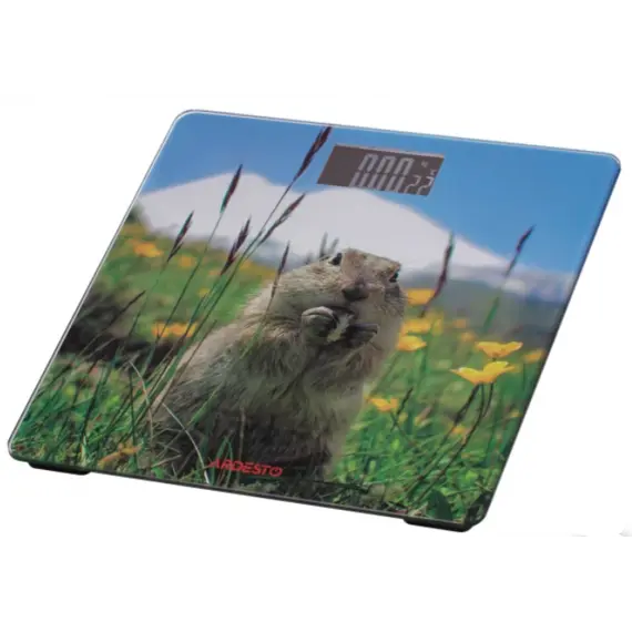 სასწორი Ardesto Scales for floor MARMOT, 150кг, 2хААА included,glass, multi-colored , 2 image - Primestore.ge