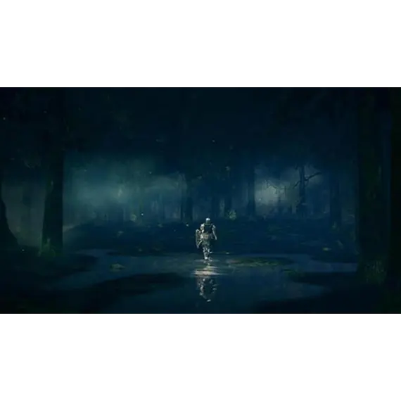 ვიდეო თამაში Sony PS4 Game Dark Soul Trilogy , 6 image - Primestore.ge