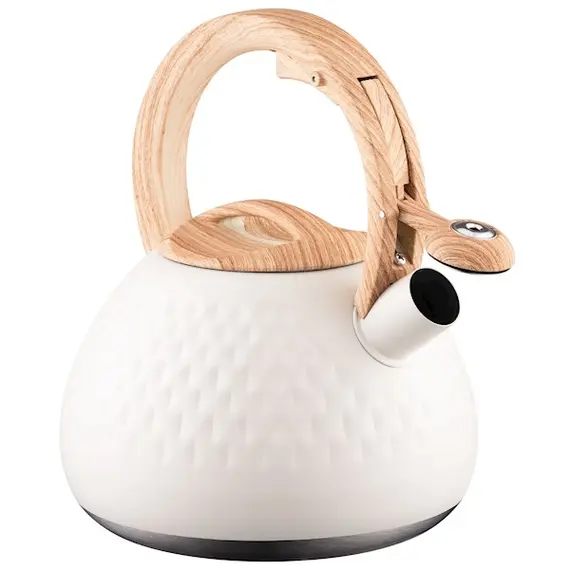 ჩაიდანი Ardesto Kettle Gemini, 2.5l, stainless steel, beige , 2 image - Primestore.ge
