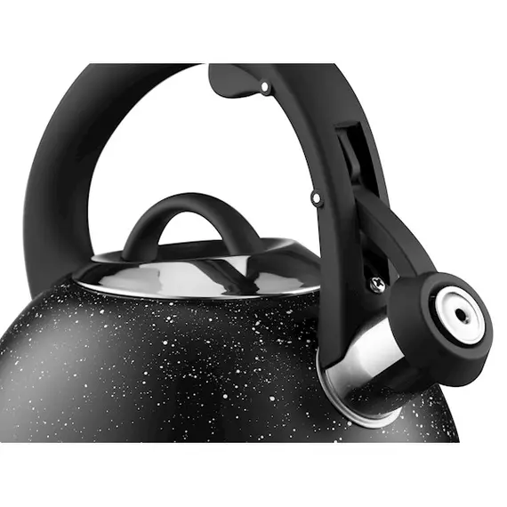 ჩაიდანი Ardesto Kettle Gemini, 2.5l, stainless steel, black , 4 image - Primestore.ge