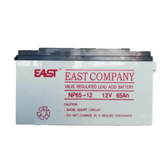 აკუმულატორი EAST NP65-12 12V/65Ah UPS battery  - Primestore.ge
