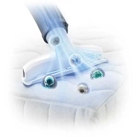 მტვერსასრუტი BOSCH BWD420HYG , 9 image - Primestore.ge