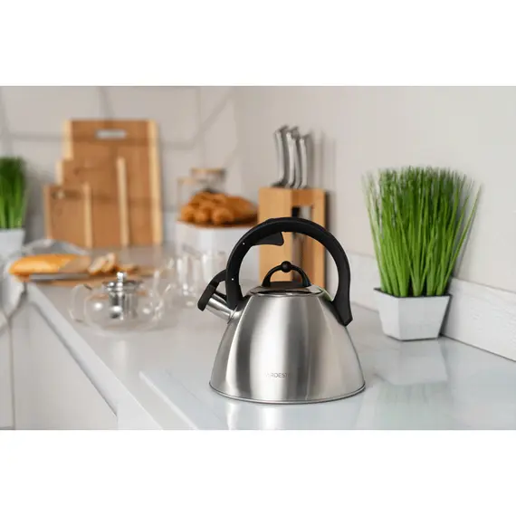 ჩაიდანი Ardesto Kettle Gemini, 2.5l, stainless steel , 4 image - Primestore.ge