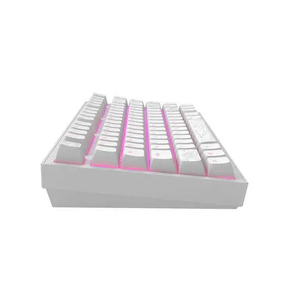 კლავიატურა Dark Project ALU Terra Nostra White - Wired Gaming Keyboard (ANSI) , 3 image - Primestore.ge