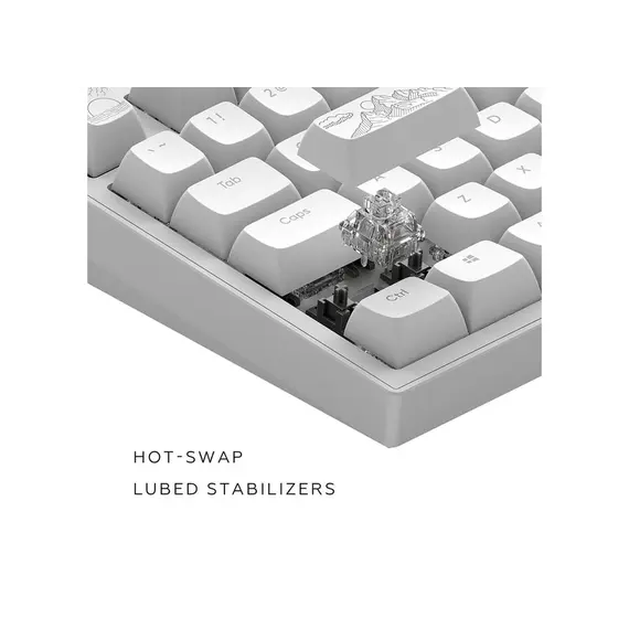 კლავიატურა Dark Project ALU Terra Nostra White - Wired Gaming Keyboard (ANSI) , 4 image - Primestore.ge