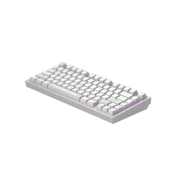 კლავიატურა Dark Project ALU Terra Nostra White - Wired Gaming Keyboard (ANSI) , 2 image - Primestore.ge