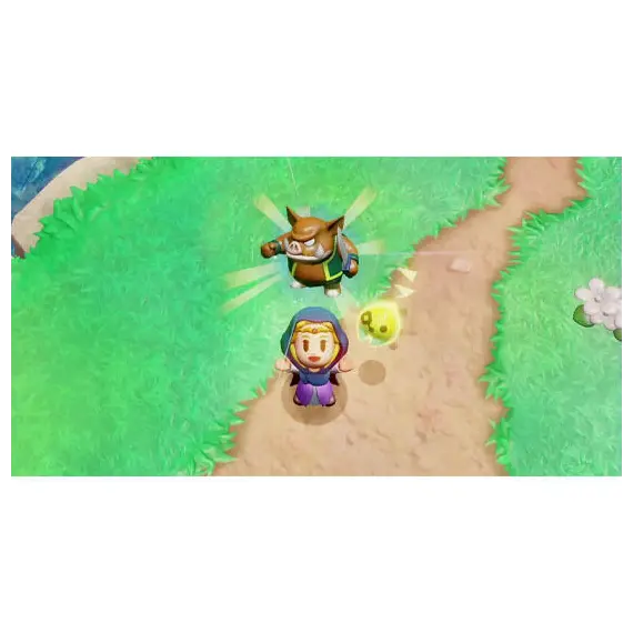 ვიდეო თამაში Nintendo Switch Game Legend of Zelda Echoes of Wisdom - Primestore.ge