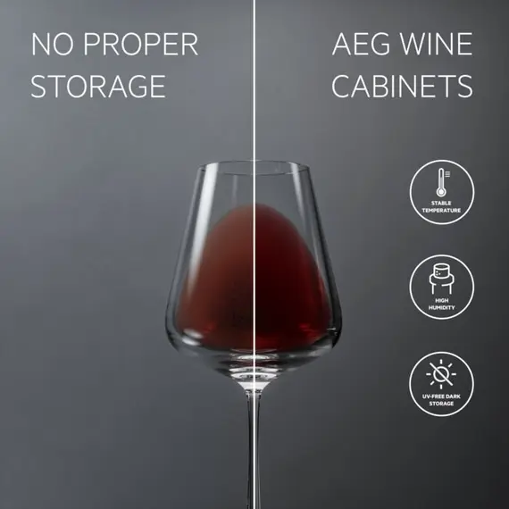 ღვინის მაცივარი AEG AWUS020B5B - Primestore.ge