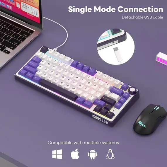 კლავიატურა Royal Kludge RK R75 RGB Mechanical Keyboard, K silver switch, Hot Swappable, Type-C wired, Blackberry , 5 image - Primestore.ge