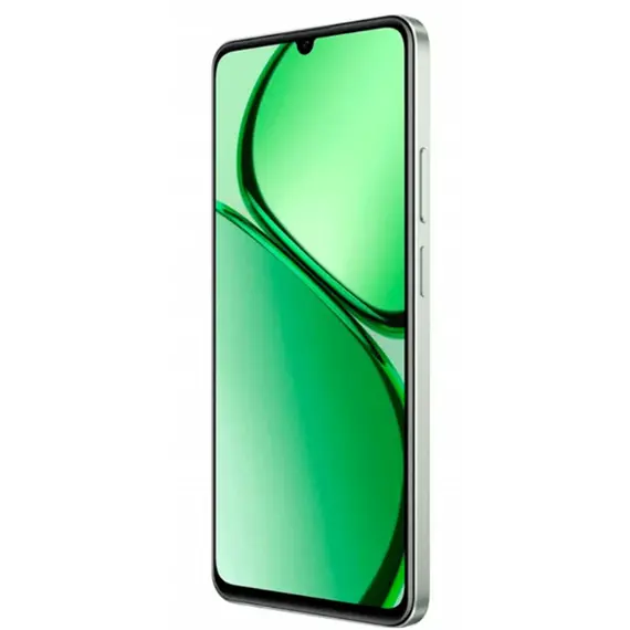 მობილური ტელეფონი Realme C63 8GB/256GB RMX3939 NFC Green , 2 image - Primestore.ge