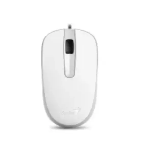მაუსი Genius DX-120 USB WHITE  G5  - Primestore.ge