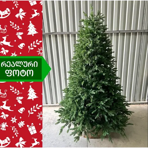 ნაძვის ხე კალიფორნია 210 სმ (KS-210) , 6 image - Primestore.ge