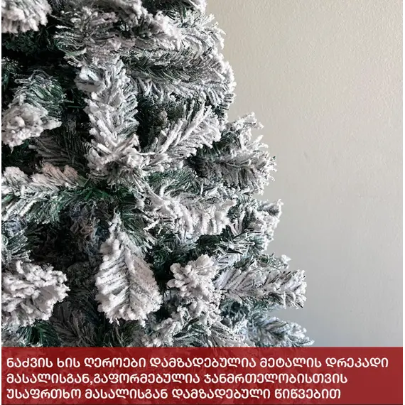 Fir tree Paris 240cm (FS-240), 4 image