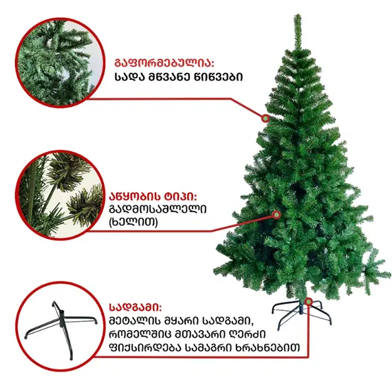 ნაძვის ხე ვაშინგტონი 180სმ (RS-180) , 7 image - Primestore.ge