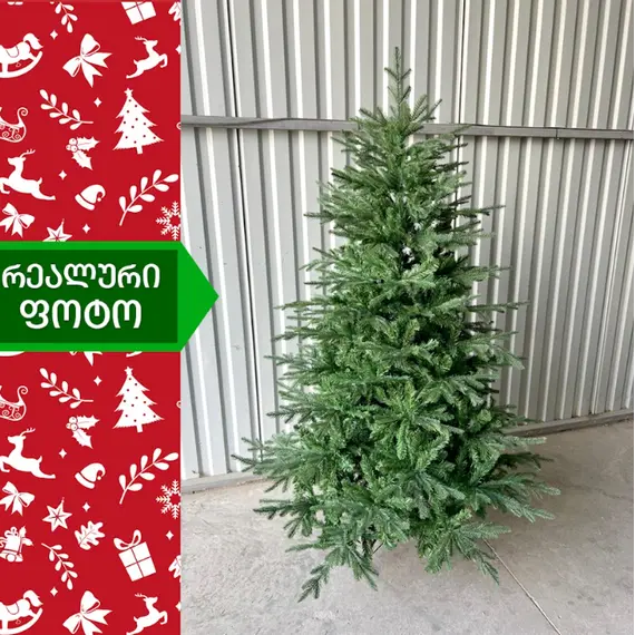 ნაძვის ხე ტალინი 195 სმ (DS-195) , 7 image - Primestore.ge