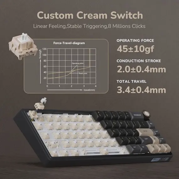 კლავიატურა Royal Kludge RK R65 RGB Mechanical Keyboard, Chartreuse switch, Hot Swappable, Type-C wired, Phantom - Primestore.ge