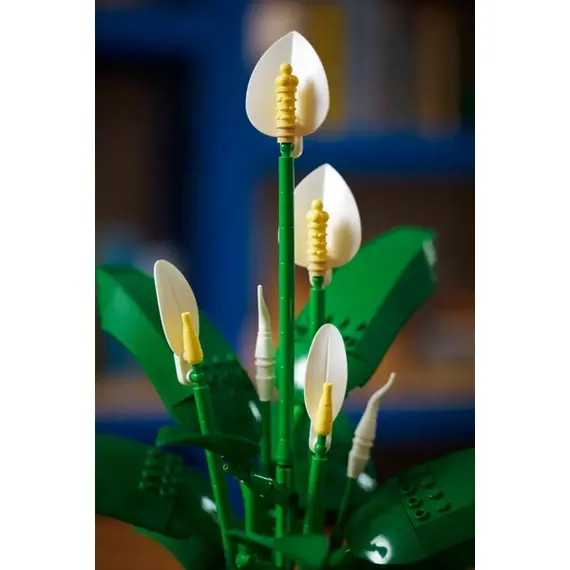 ლეგო LEGO Constructor Botanicals Peace Lily - Primestore.ge