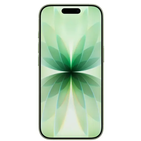 მობილური ტელეფონი Apple iPhone 17 256GB Sage - Primestore.ge