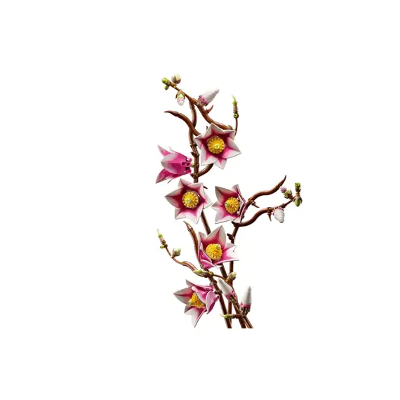 ლეგო LEGO Constructor Botanicals Magnolia Branches - Primestore.ge