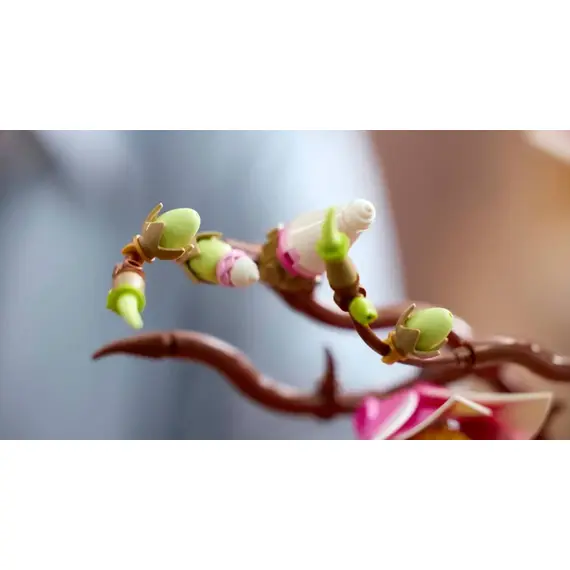 ლეგო LEGO Constructor Botanicals Magnolia Branches - Primestore.ge