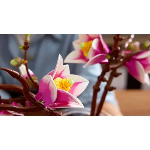 ლეგო LEGO Constructor Botanicals Magnolia Branches - Primestore.ge