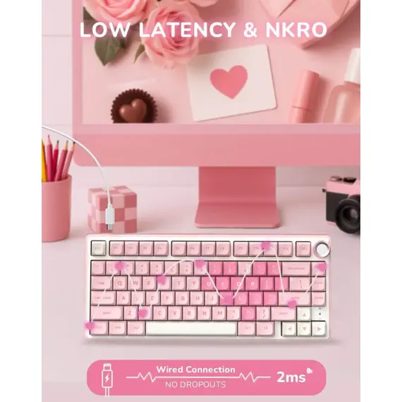 კლავიატურა Royal Kludge RKR75-PM-XW RGB Mechanical Keyboard, Beige Switch, Hot Swappable, Wired, USB, Pink Melody - Primestore.ge