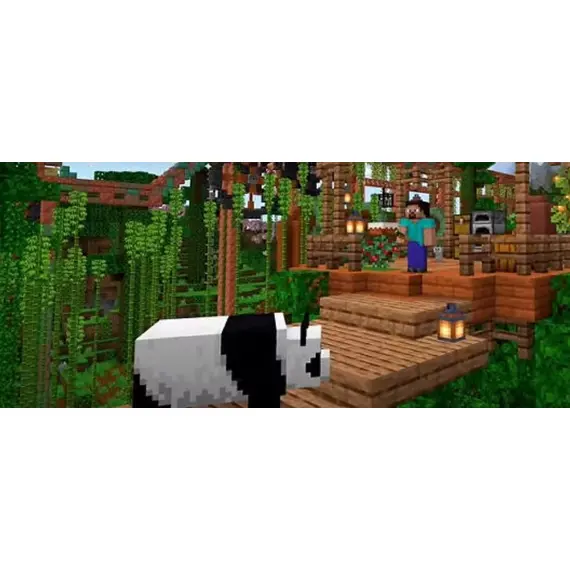 თამაში Sony PS5 Game Minecraft - Primestore.ge
