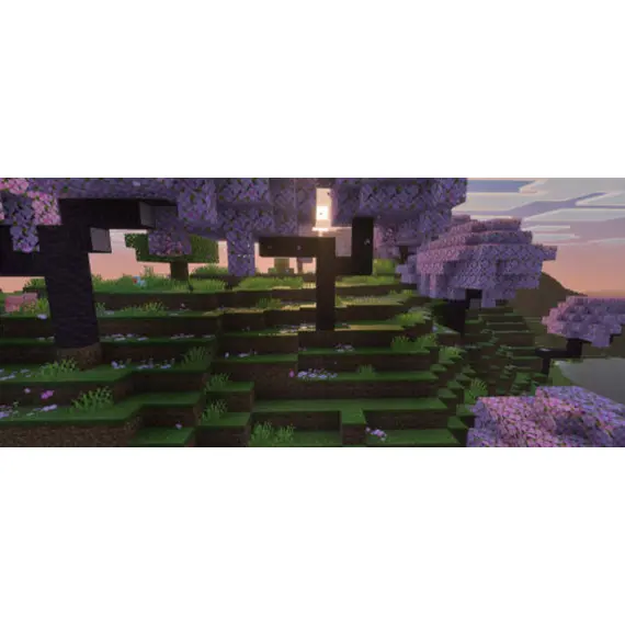 თამაში Sony PS5 Game Minecraft - Primestore.ge