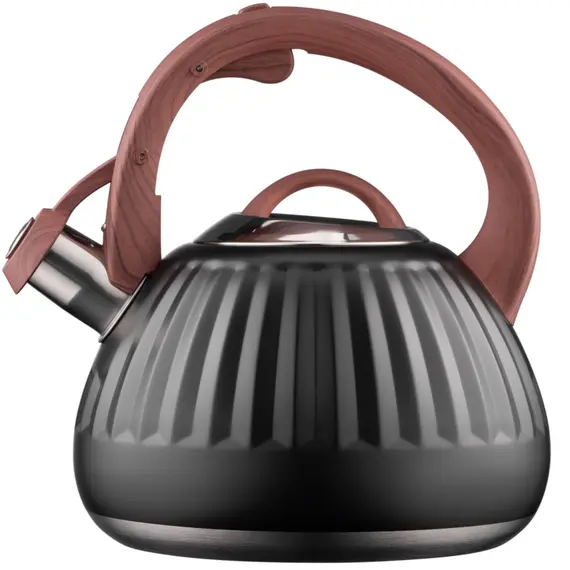 ჩაიდანი ARDESTO Gemini, 2.5l, stainless steel, black 674012410388 - Primestore.ge