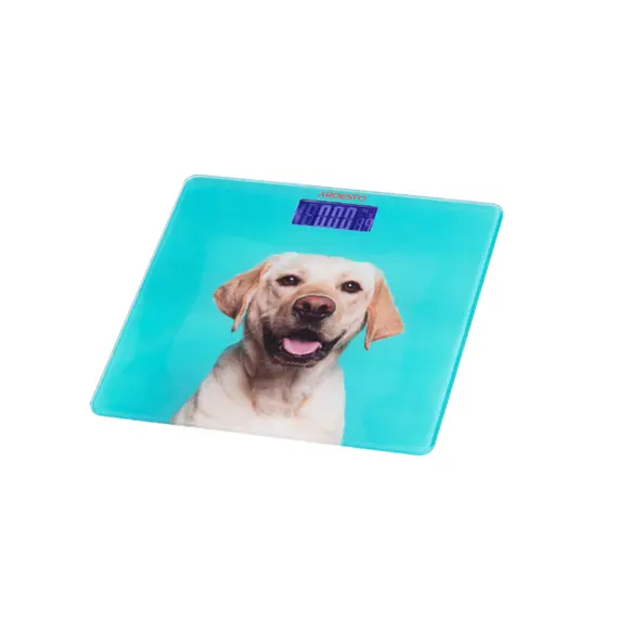 სასწორი Body Scales Ardesto SCB-965DOG , 2 image - Primestore.ge