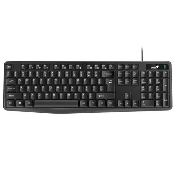 Keyboard Genius KB-117 RU USB Black GK-190022