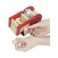 ხის სახანძრო მანქანა goki Machine wooden Fire (red) 55927G , 2 image - Primestore.ge