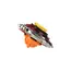 მექანიკური სათამაშო AULDEY Close Pack-Blade , 3 image - Primestore.ge