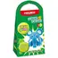 სუპერ PAULINDA Super dough Paulinda  Fun 4 one,elephant , 2 image - Primestore.ge