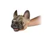 ბულდოგის ხელთათმანი Same Toy Toy-glove Dog Bulldog , 2 image - Primestore.ge