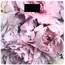 სასწორი Ardesto Scales SCB-965PEONIES  - Primestore.ge