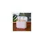 ყურსასმენი House Of Marley Rebel True Wireless Earbuds White (EM-JE121-CE) , 3 image - Primestore.ge