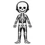 სათამაშო თავსატეხი Janod Educational Puzzle Human Body , 2 image - Primestore.ge