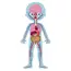 სათამაშო თავსატეხი Janod Educational Puzzle Human Body , 3 image - Primestore.ge