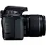 ფოტოაპარატი EOS 4000D 18-55 DC  KIT+ Lens EF-S 18-55   , 18MP APS-C CMOS sensor , 2,7″ LCD screen , 1080P Full-HD EOS Movie , 5 image - Primestore.ge
