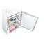 მაცივარი Samsung BRB306054WW/WT , 5 image - Primestore.ge
