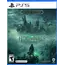 ვიდეო თამაში Game for PS5 Hogwarts Legacy  - Primestore.ge