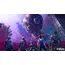 ვიდეო თამაში Game for PS4 Marvel's Guardians of The Galaxy , 5 image - Primestore.ge