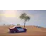 ვიდეო თამაში Game for Nintendo Switch Art of Rally , 5 image - Primestore.ge