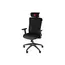 სათამაშო სავარძელი Genesis Gaming Chair Erganomic  Astat 200 Black , 3 image - Primestore.ge