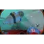 ვიდეო თამაში Game for PS4 Subnautica , 2 image - Primestore.ge