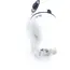 სამეთვალყურეო კამერა YOOSEE WIFI SMART 2MP CAMERA , 3 image - Primestore.ge