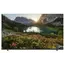 ტელევიზორი ColorView 43FGS Smart  - Primestore.ge