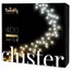 საახალწლო განათება Twinkly TWC400GOP-BEU Cluster AWW, 400, Gen II, IP44  - Primestore.ge