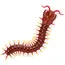 დისტანციურად სამართავი სათამაშო Terra R/C CENTIPEDE , 2 image - Primestore.ge